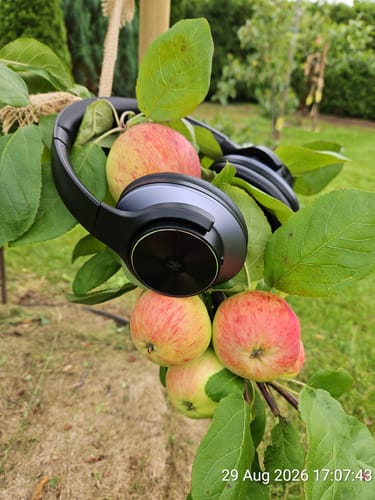 Zwarte Oneodio-koptelefoon hangend in een appelboom